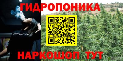 трава Краснодар
